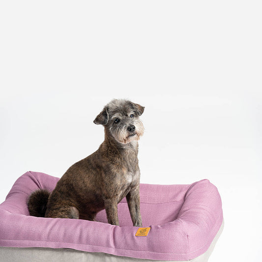 Lifeapp Air Bed Größe M – Schlafen wie auf Wolken