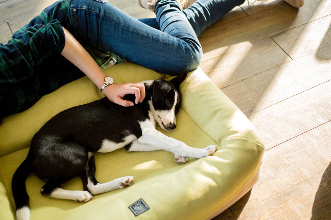 Lifeapp Air Bed Größe M – Schlafen wie auf Wolken