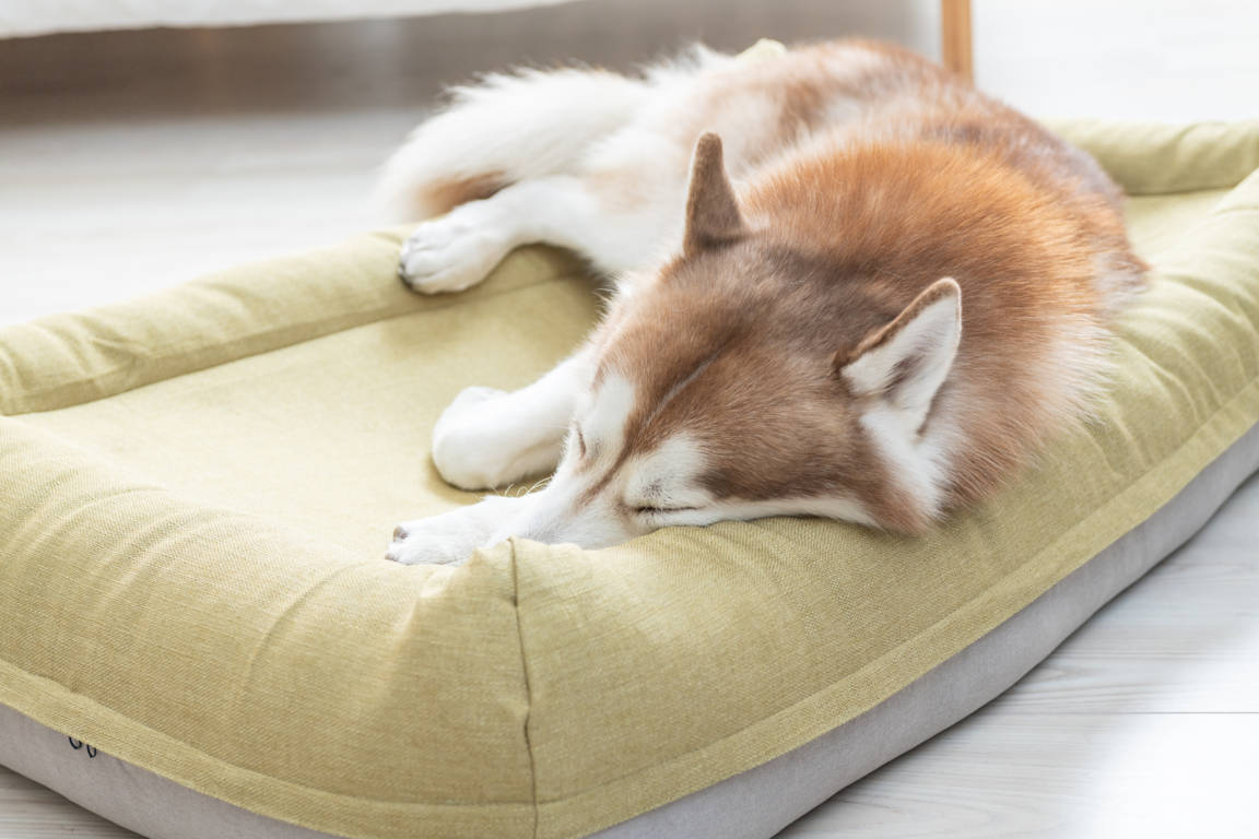 Lifeapp Air Bed Größe M – Schlafen wie auf Wolken
