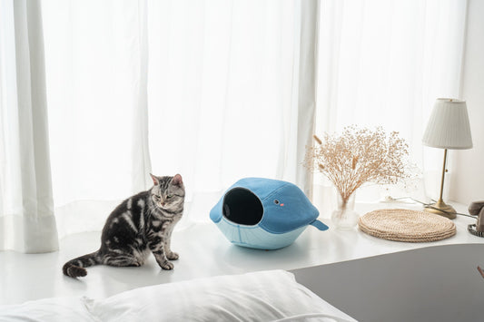 LIFEAPP Cat Cave Whale S - Katzenhöhle in Walform