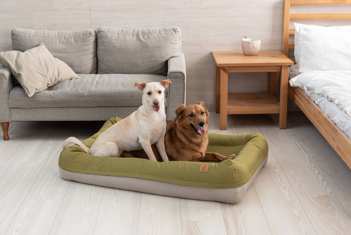 Lifeapp Air Bed Größe M – Schlafen wie auf Wolken